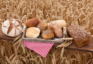 Braote auf einem Brett vor einem Kornfeld