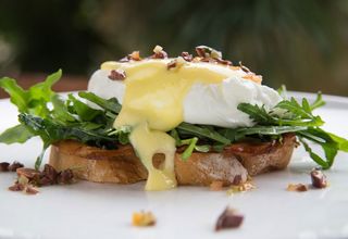 Eggs Benedict auf Ruccola Brot