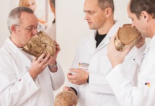 Drei Brotprüfer riechen an Brot