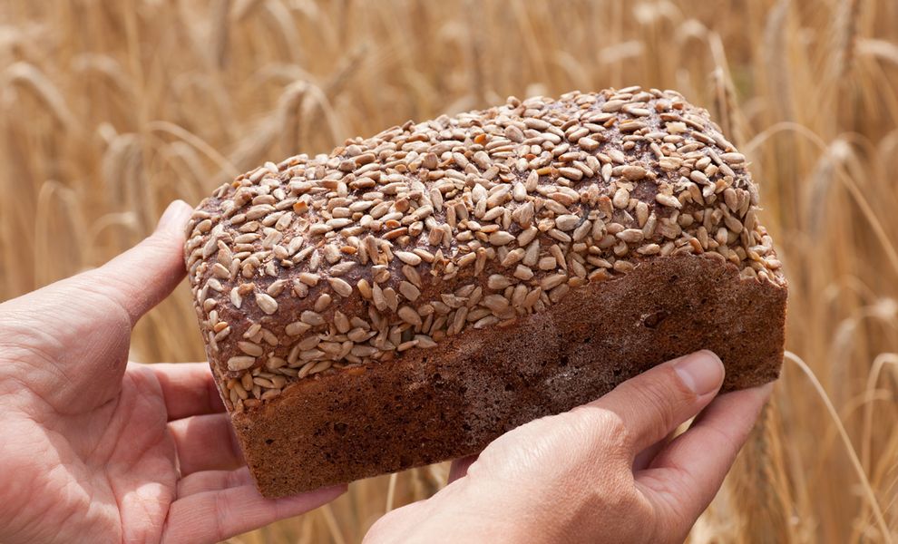 Vollkornbrot vor Kornfeld