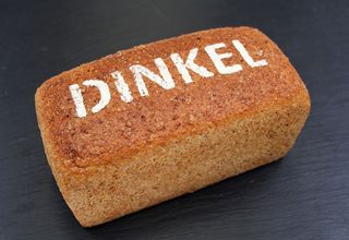 Dunkelrot - Brot des Jahres