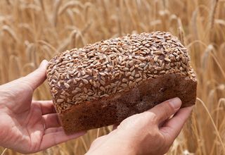 Vollkornbrot vor in Händen gehalten vor einem Getreidefeld