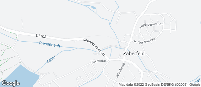 Karte mit Standort von Fesslers Backhaus LIVE       Netto Markt