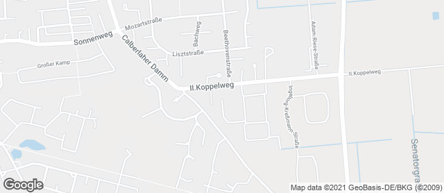 Karte mit Standort von Bäckerei Leifert GmbH Netto Koppelweg
